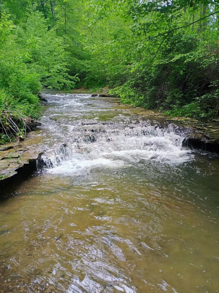 495 Clear Fork Branch Road, Eubank, KY 42567 - #2