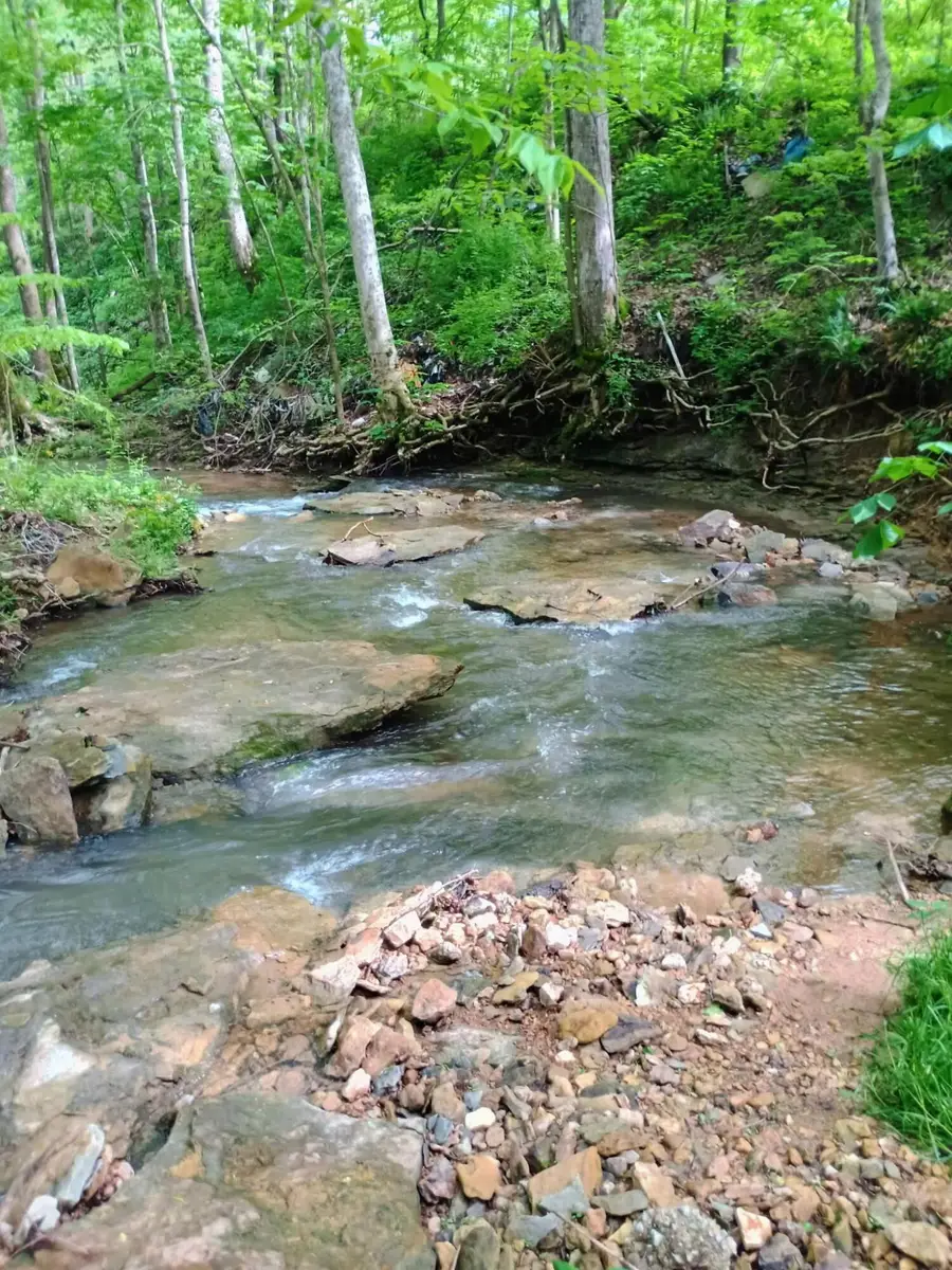 495 Clear Fork Branch Road, Eubank, KY 42567 - #3