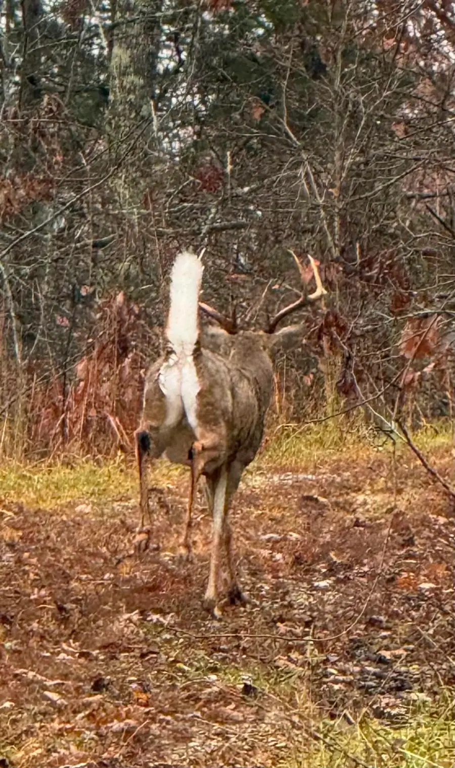 1709 State Hwy, Tyner, KY 40486 - #3