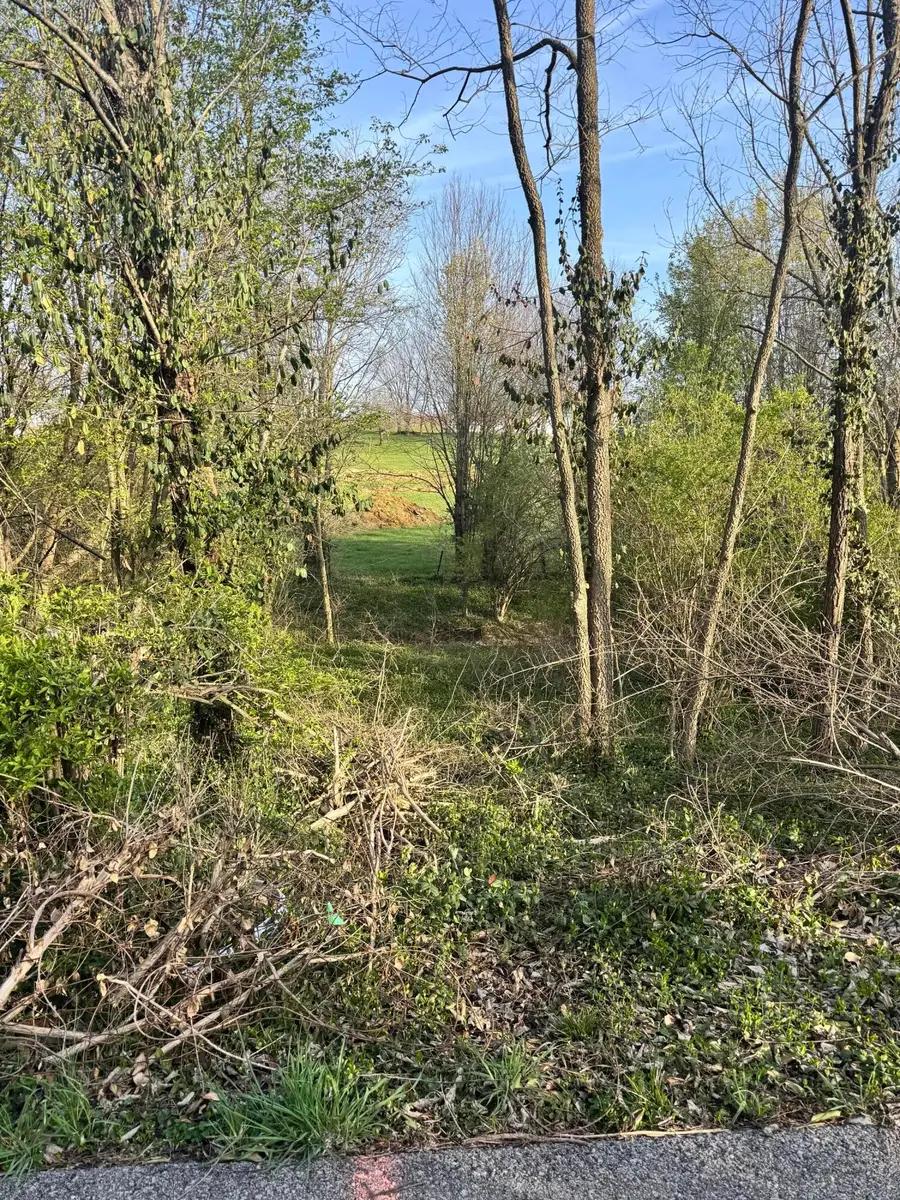 Lot #2 Freeman Lane, Salvisa, KY 40372 - #3