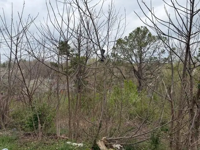 Lot 40 Mcfadden Drive, Corbin, KY 40701 - #1