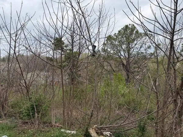 Lot 40 Mcfadden Drive, Corbin, KY 40701