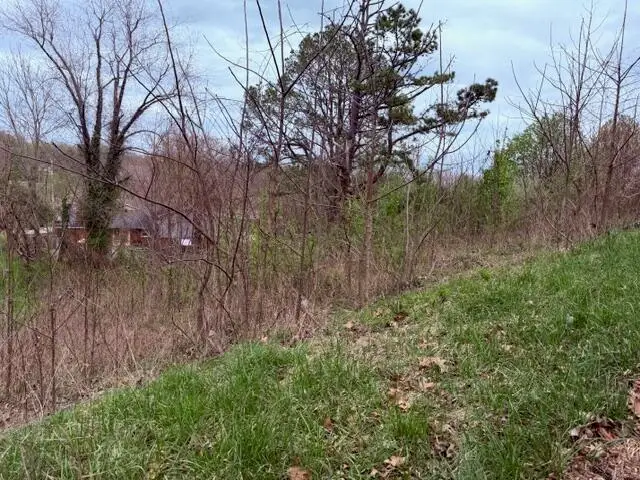 Lot 40 Mcfadden Drive, Corbin, KY 40701 - #2