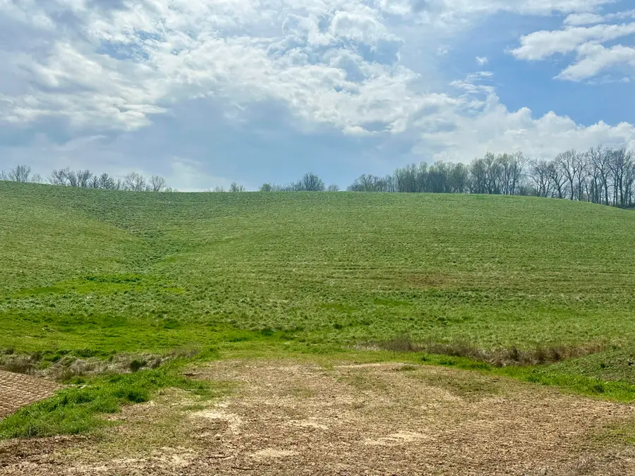 133  Jaguar Way, London, KY 40741 - #2