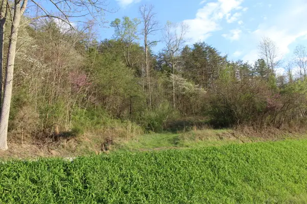 3602 Wagersville Road, Irvine, KY 40336