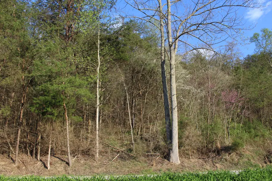 3602 Wagersville Road, Irvine, KY 40336 - #2