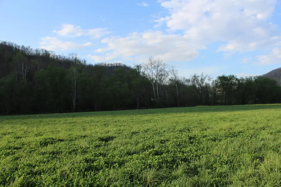 3602 Wagersville Road, Irvine, KY 40336 - #3