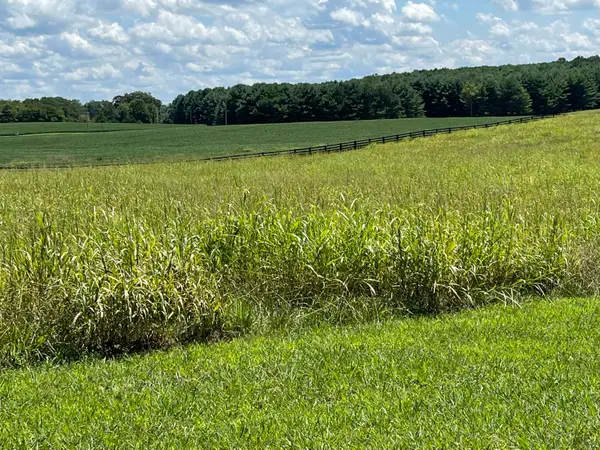 40 Beacon Street, Russell Springs, KY 42642