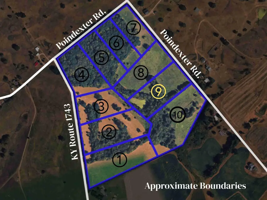 1802 Poindexter Road, Cynthiana, KY 41031 - #2
