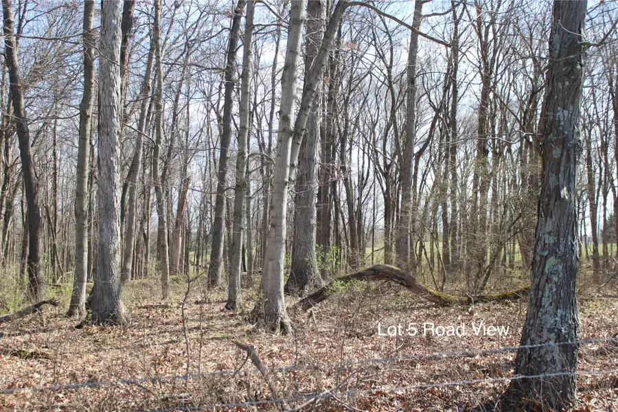 1474 Poindexter Road, Cynthiana, KY 41031 - #3