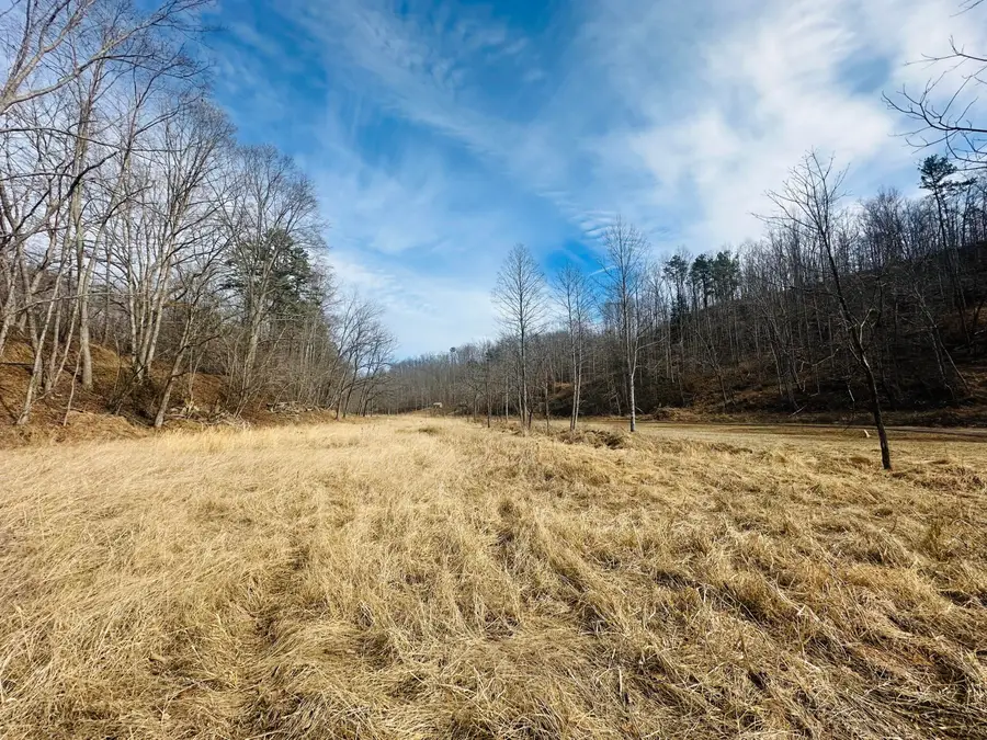 780 Shib Branch Road, Manchester, KY 40962 - #2