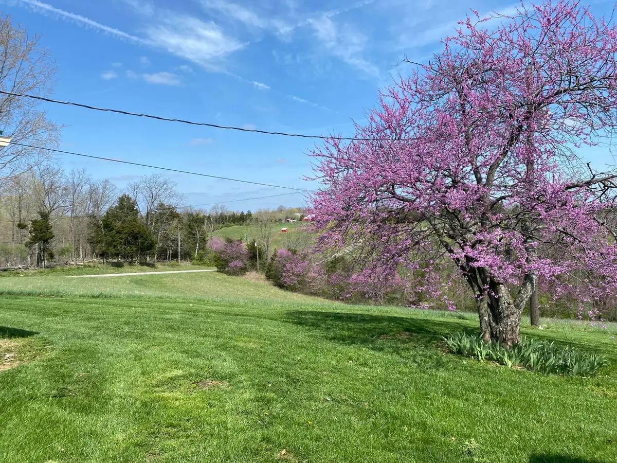 317 Short Road, Salvisa, KY 40372 - #1