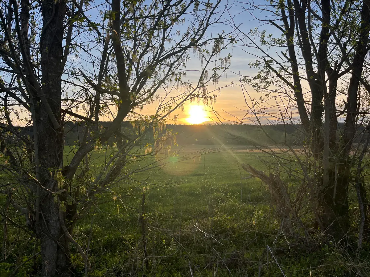 3991 Jackson Ferry Road, Winchester, KY 40391 - #1