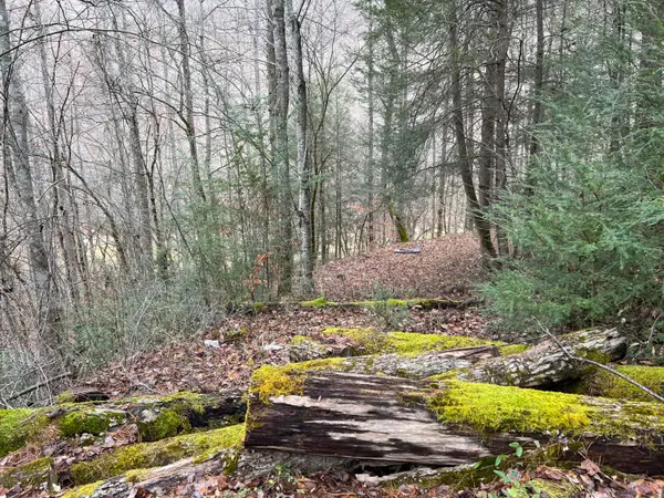 2774 Mosley Bend Road, Hyden, KY 41749