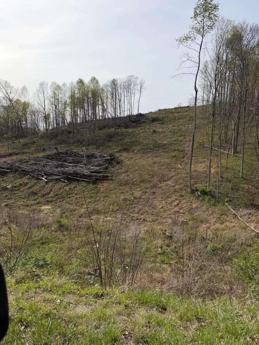 Track 4 White Rock Road #Track 4, Mount Vernon, KY 40456 - #2