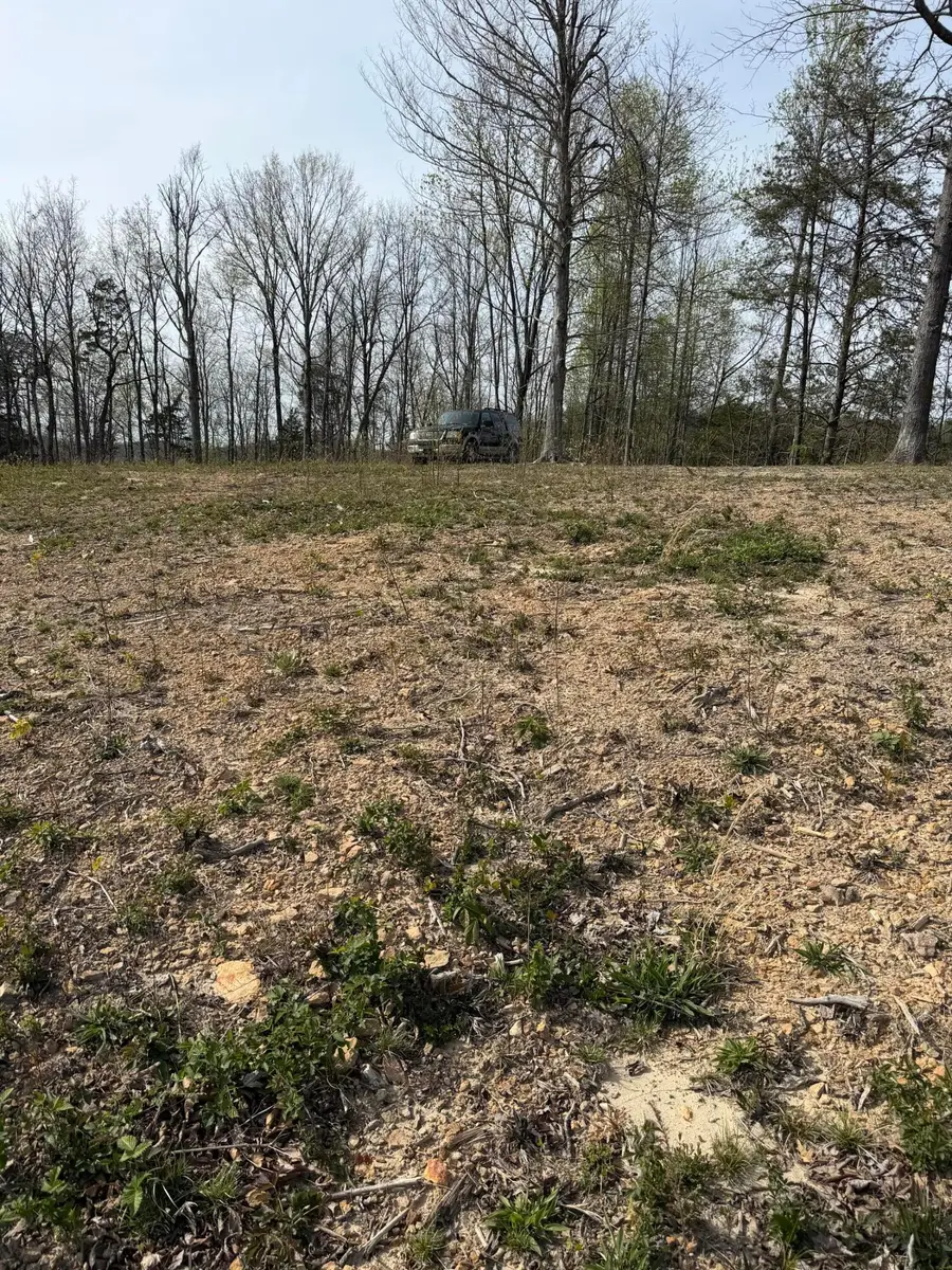 Track 4 White Rock Road #Track 4, Mount Vernon, KY 40456 - #3