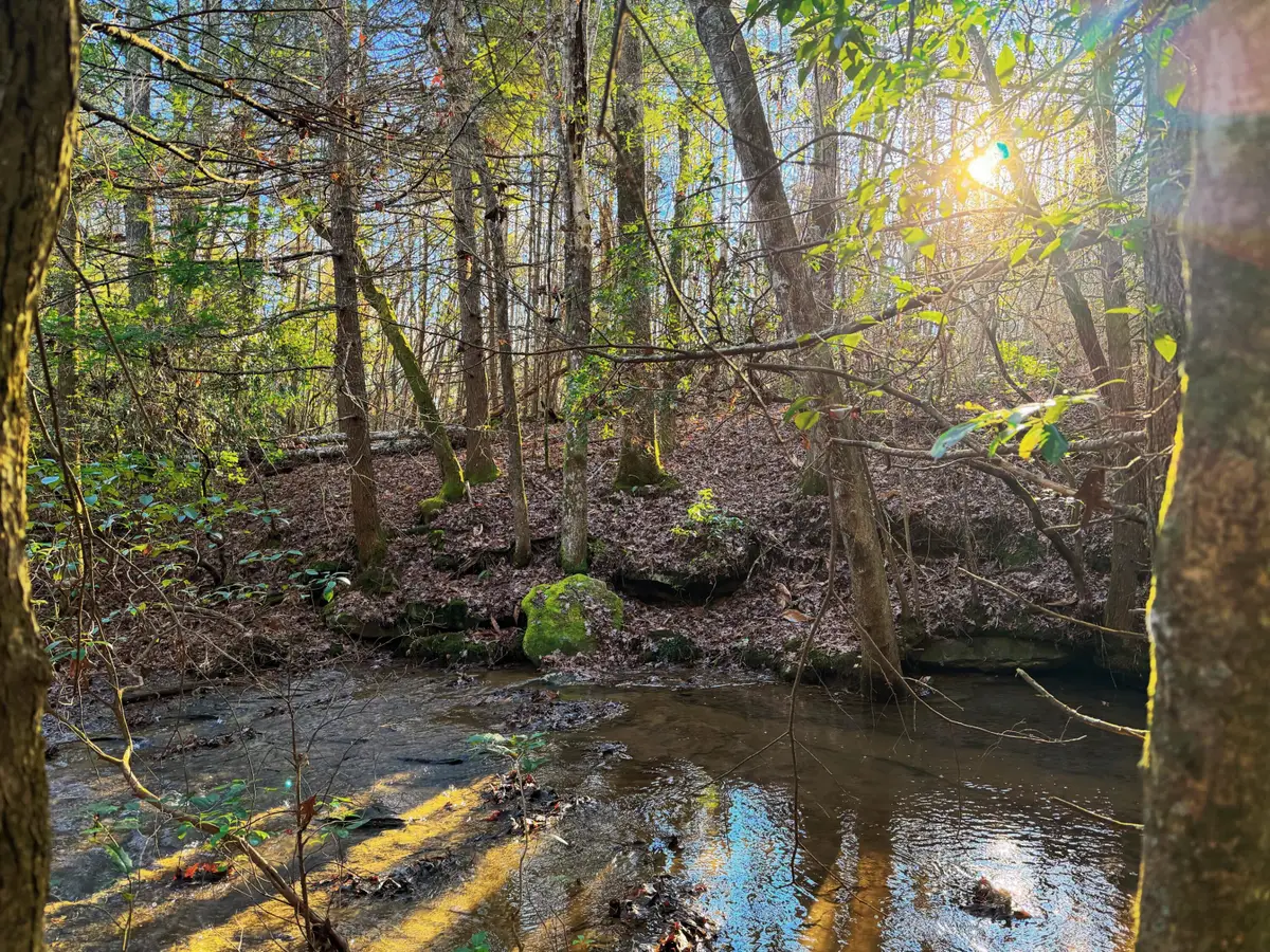 8888 Gibson Lane, Williamsburg, KY 40769 - #1