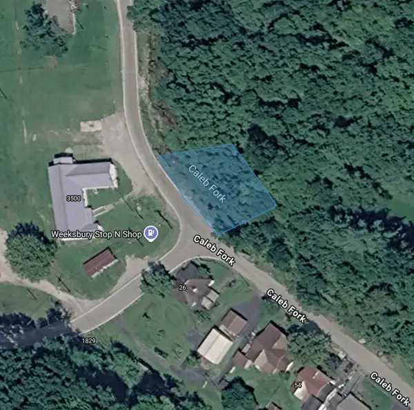 0 Caleb Fork, Bevinsville, KY 41606