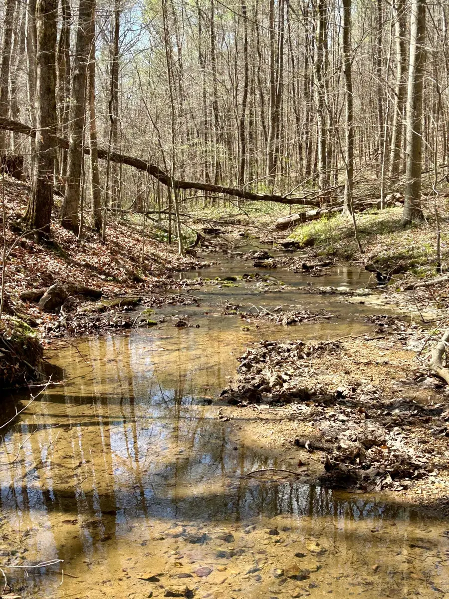 808 Goldenberg Lane, Somerset, KY 42503 - #3