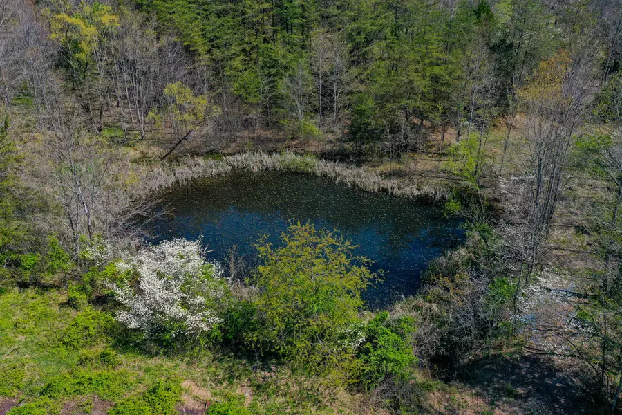 968 Taylor School Road, London, KY 40741 - #3