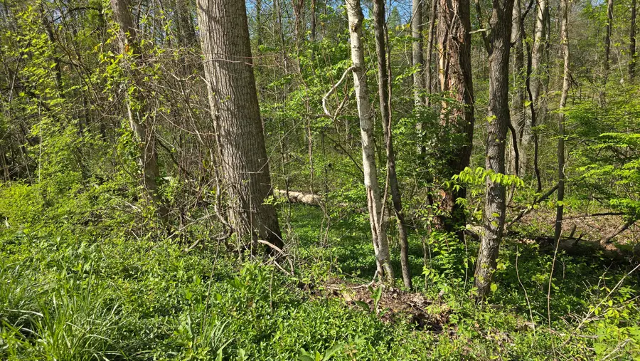 Lots 29, 30 Suncrest Drive #Lots 29 & 30, Somerset, KY 42501 - #2