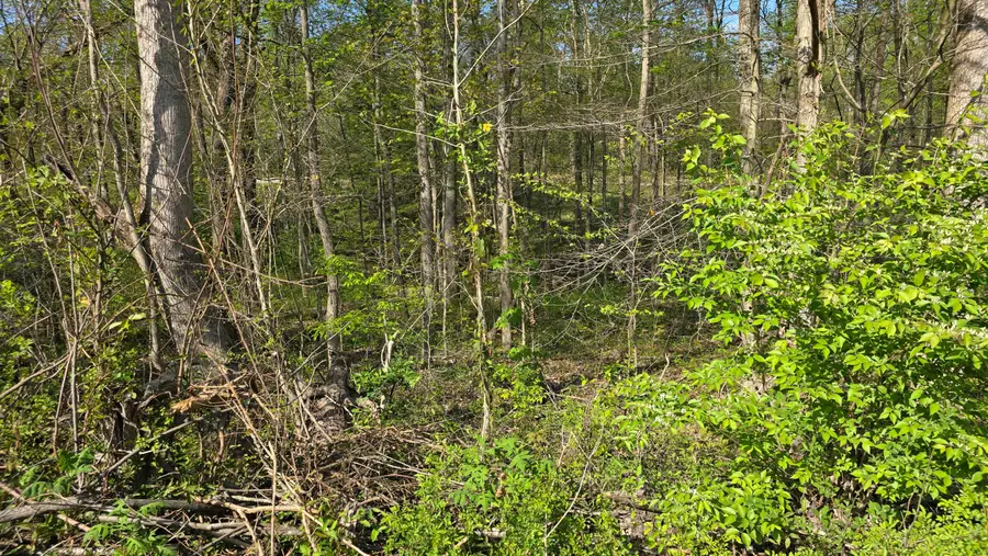 Lots 29, 30 Suncrest Drive #Lots 29 & 30, Somerset, KY 42501 - #3