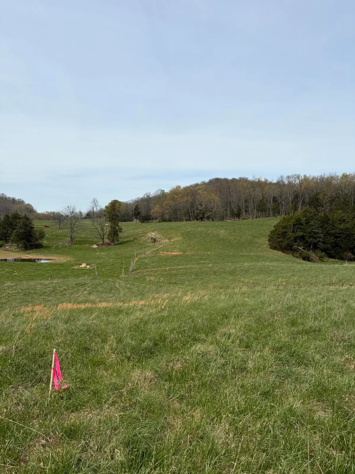 701 Mcqueary Road, Somerset, KY 42503 - #1