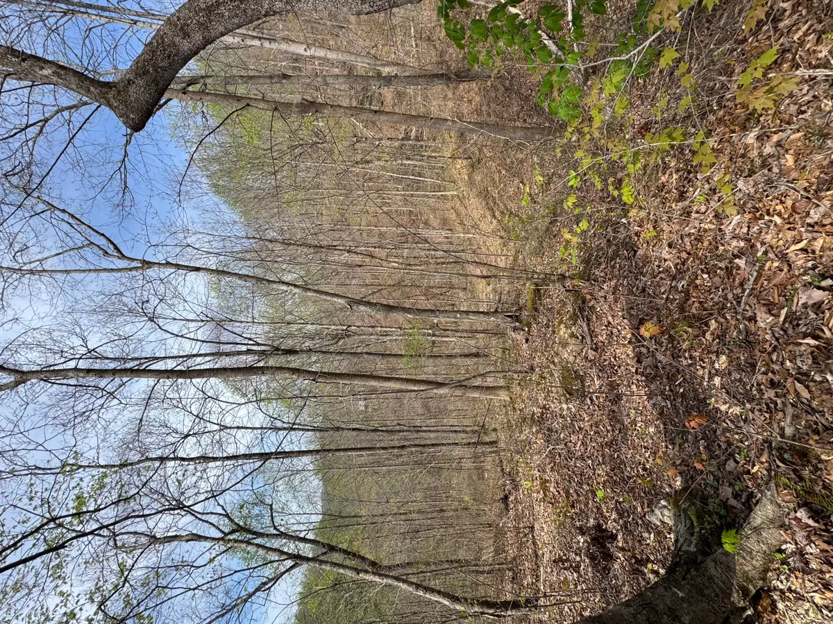 1 Callebs Creek Road, Hinkle, KY 40953 - #1