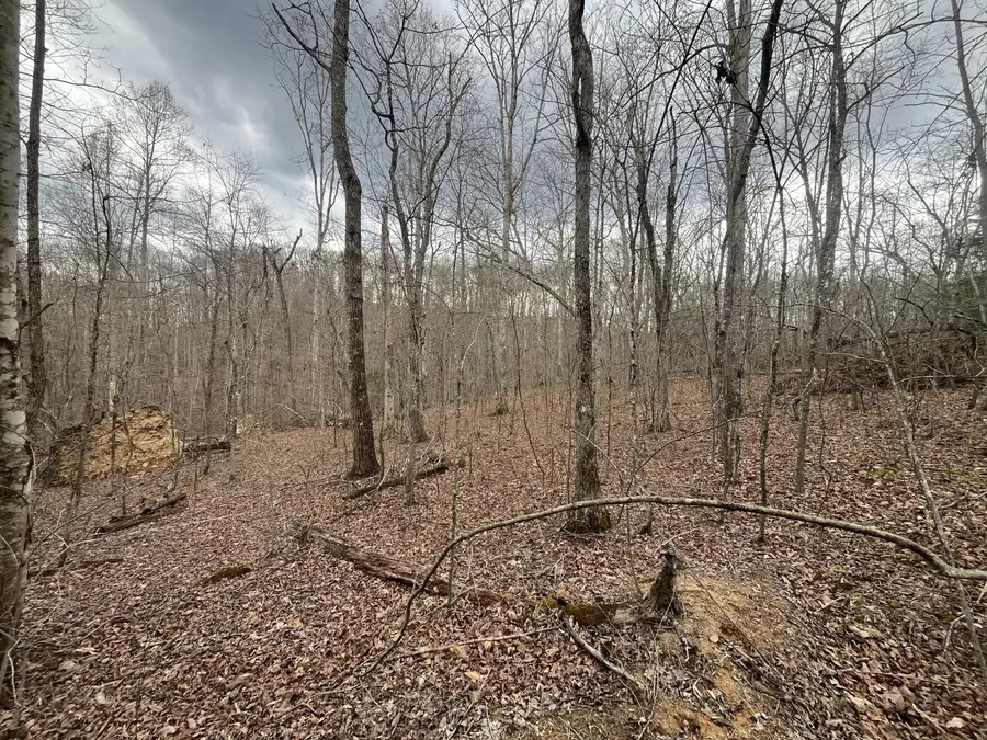 Lot 10 Mountain Springs Cem Road, Ravenna, KY 40472 - #2