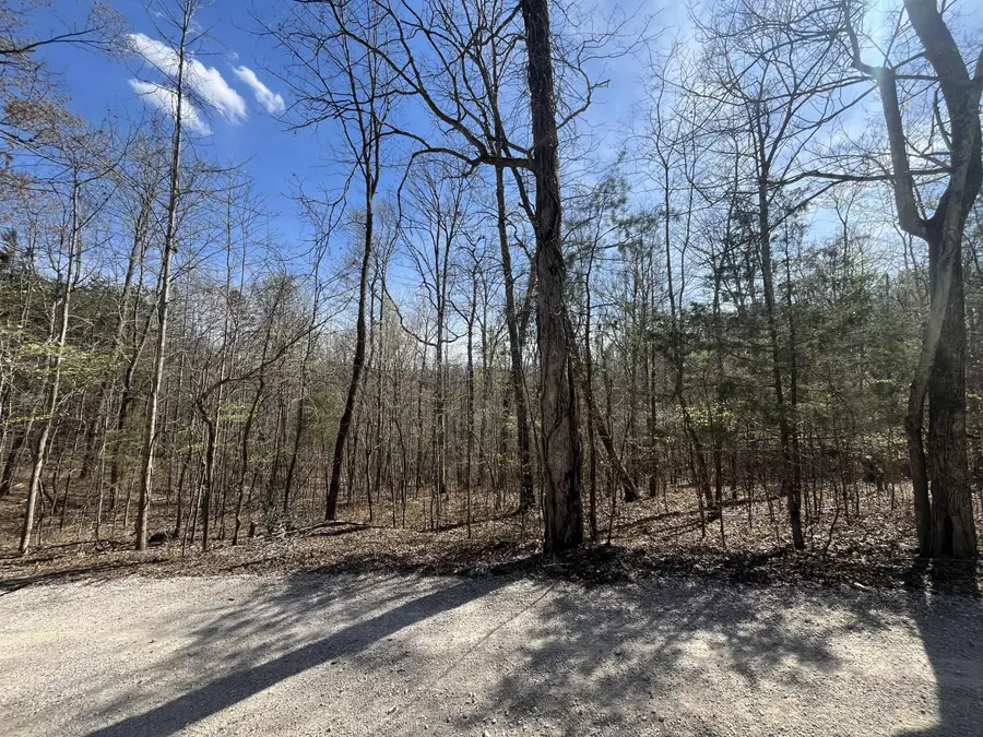 Lot 10 Mountain Springs Cem Road, Ravenna, KY 40472 - #3