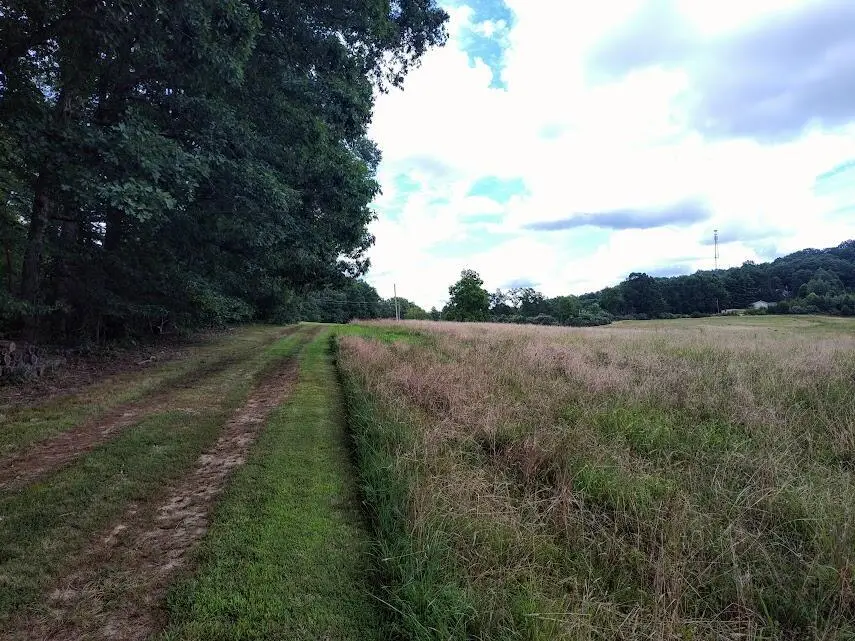 460 Skaggs Road, Morehead, KY 40351 - #3