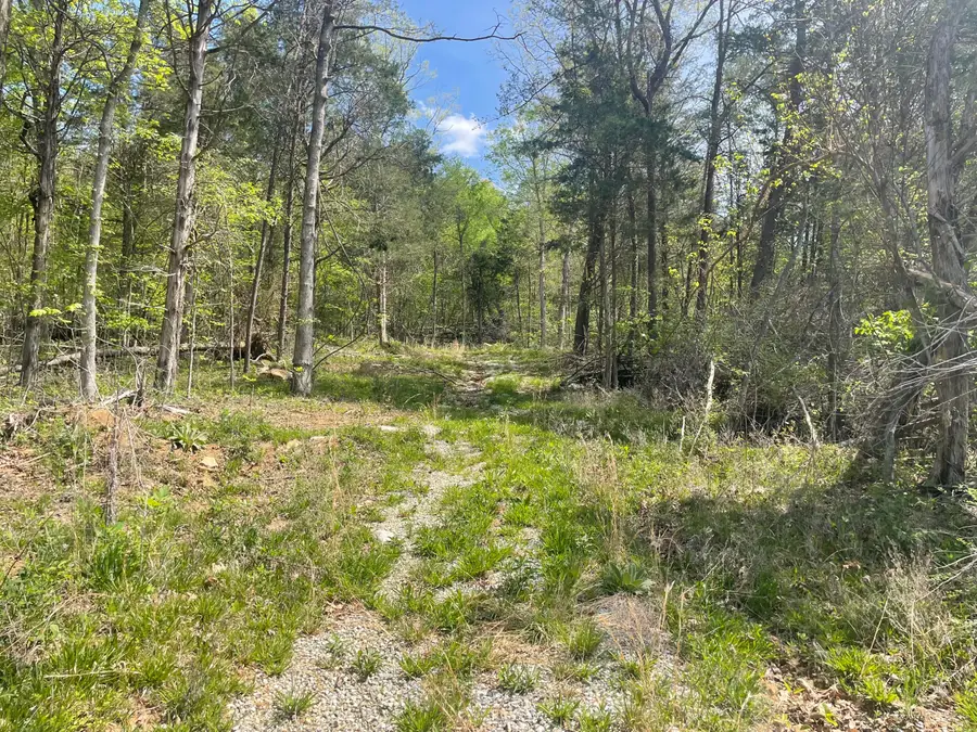 4288 Elihu Cabin Hollow Road, Somerset, KY 42501 - #3