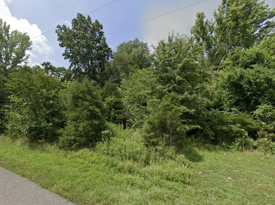 46 Devillez Road, Eddyville, KY 42038 - #2