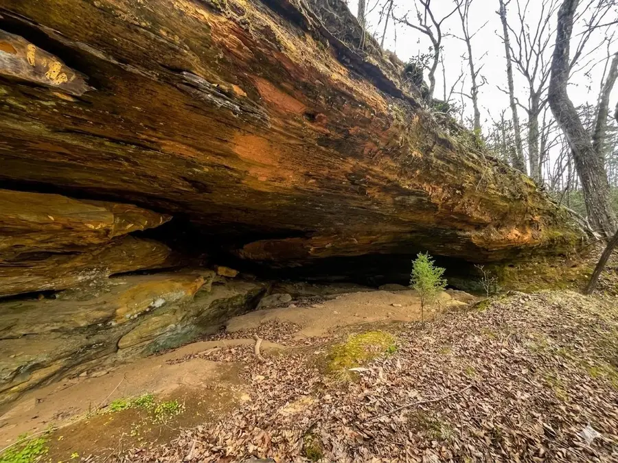 Lot 2 Mountain Springs Cem Road, Ravenna, KY 40472 - #2