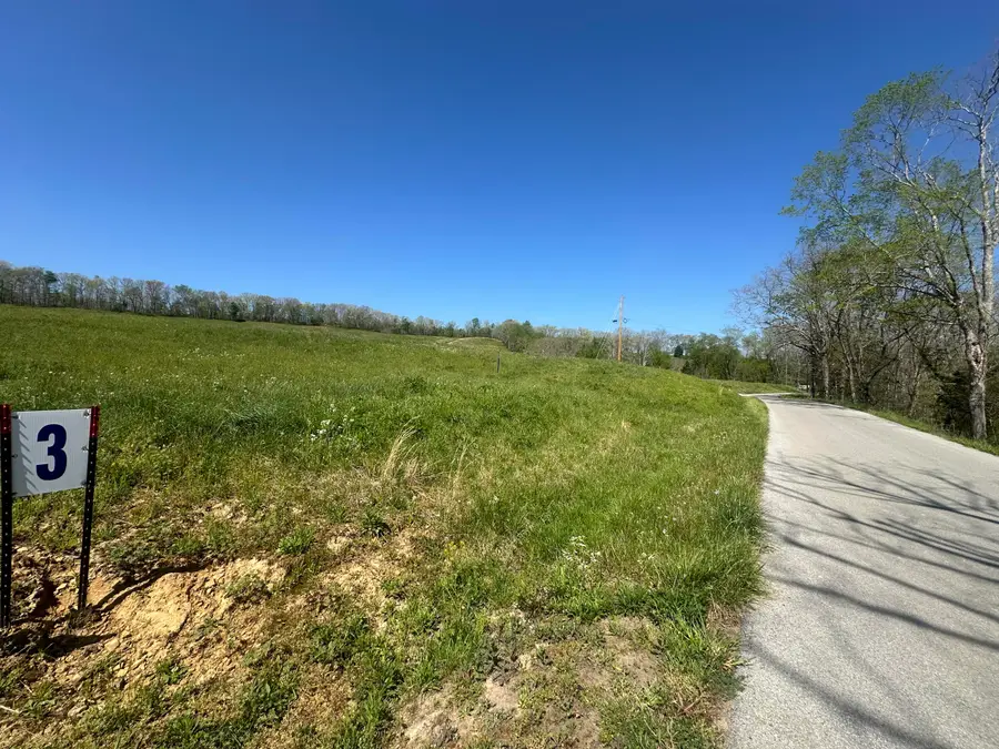 19 Coon Trail #Tract 3, East Bernstadt, KY 40729 - #3