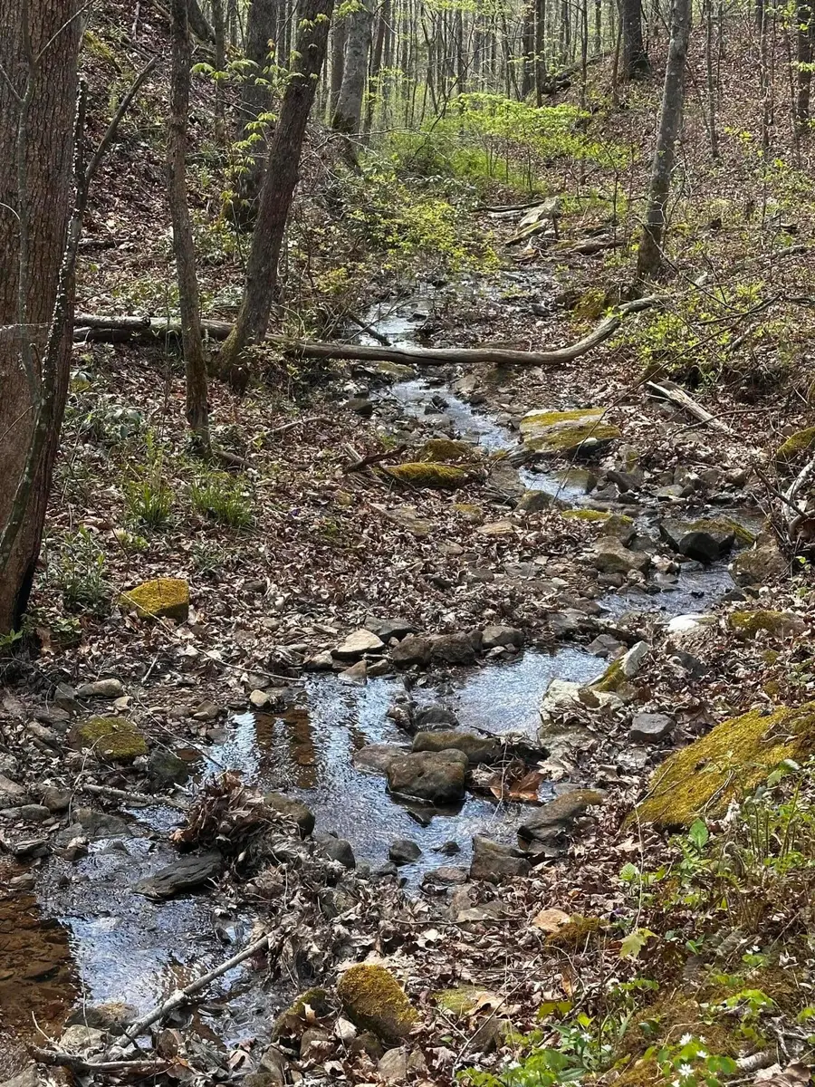 0 Long Branch Road, Livingston, KY 40445 - #2