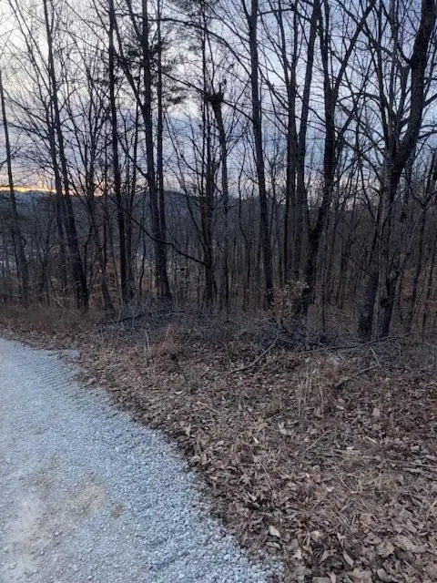 3.31 King Mountain Road #3.31, Williamsburg, KY 40769 - #2