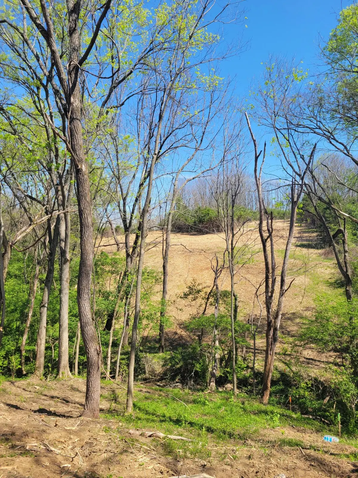 511 Upper Hines Creek Road, Richmond, KY 40475 - #1