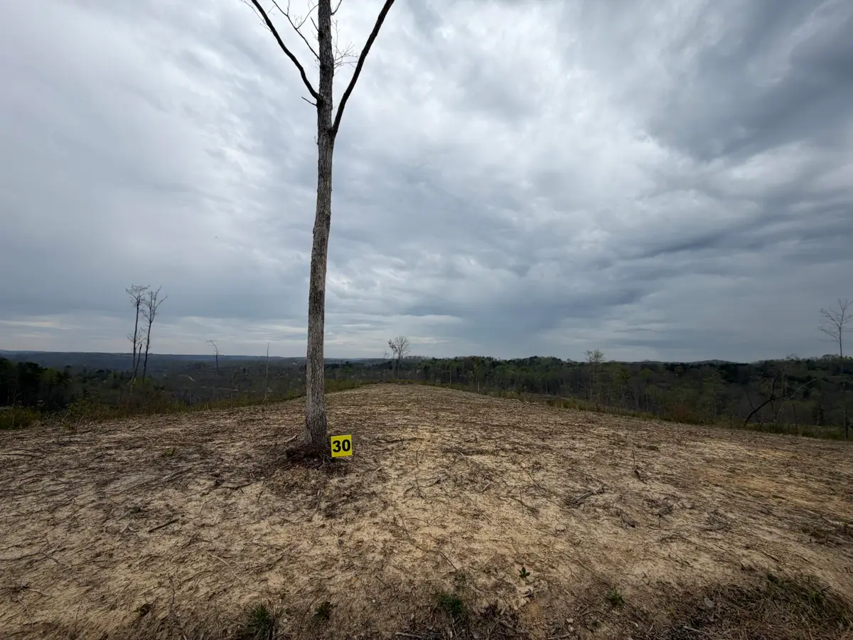 362 J B Lewis Road, East Bernstadt, KY 40729 - #1