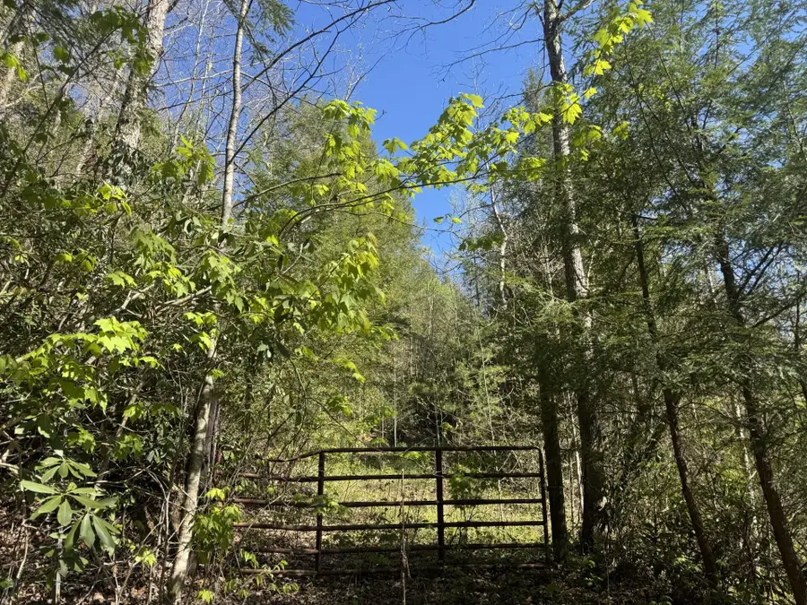 999 Jervis Road, London, KY 40741 - #2