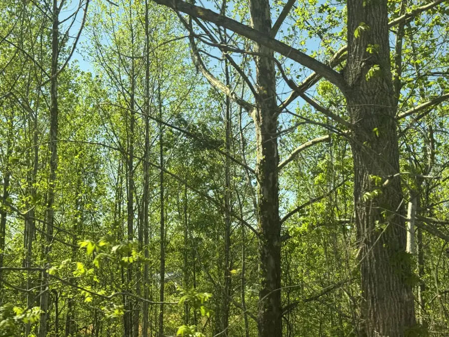 999 Jervis Road, London, KY 40741 - #3