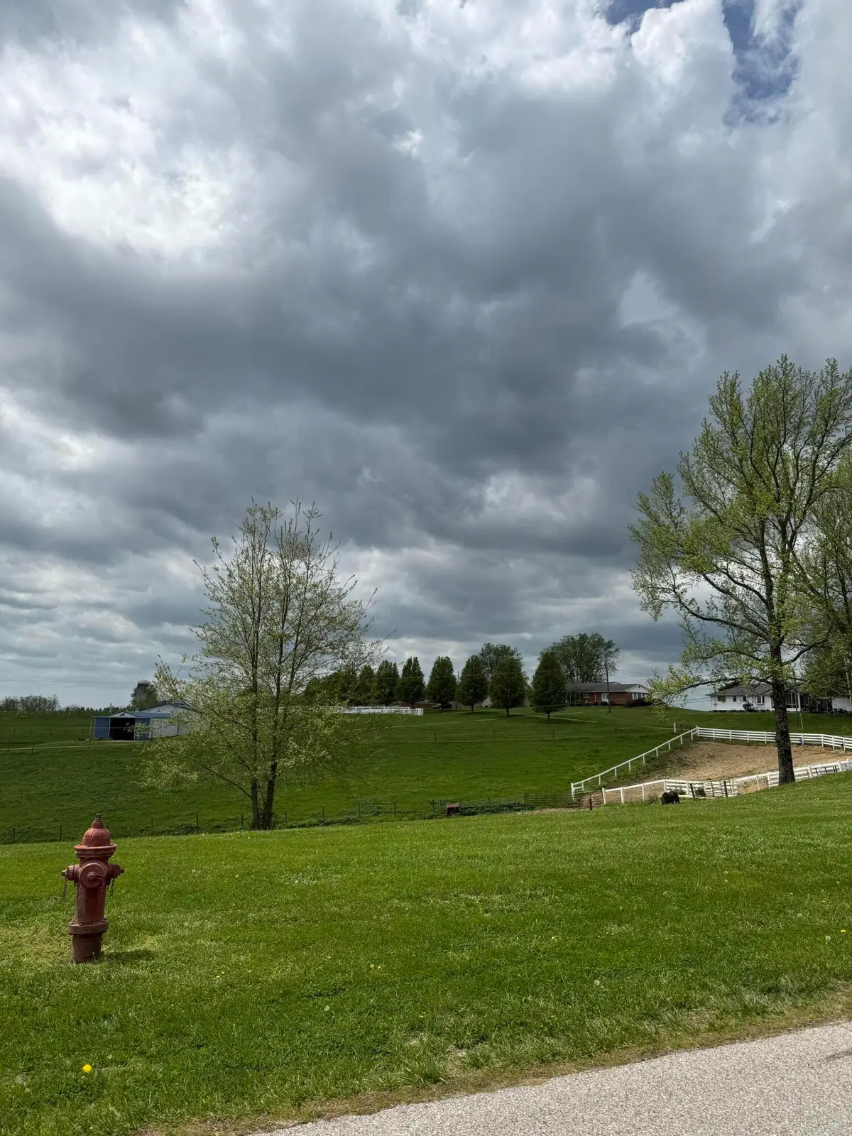 Lot 24 Don Galloway Drive, Brooksville, KY 41004 - #1