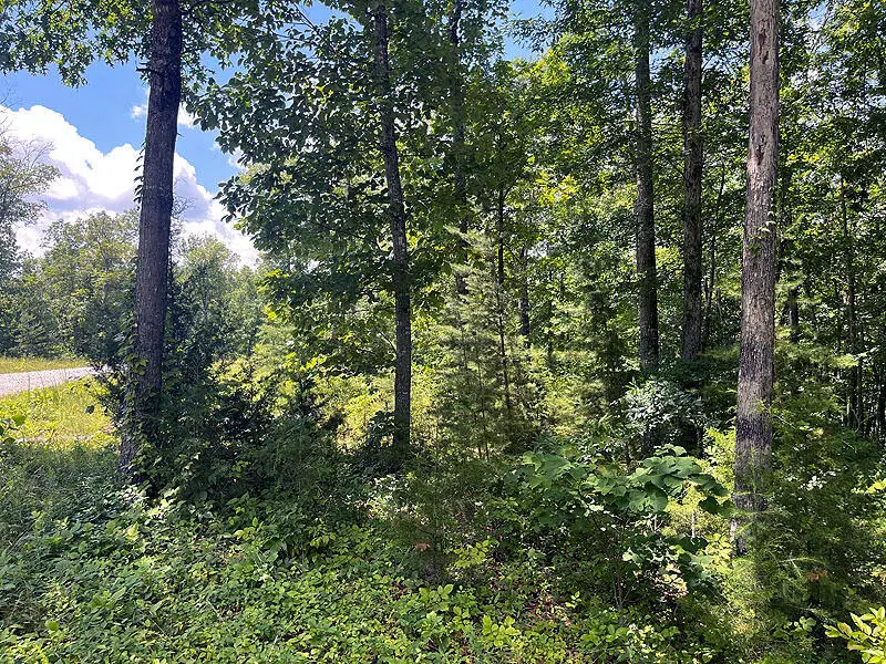 Lot 17 Cumberland Shores, Monticello, KY 42633 - #2