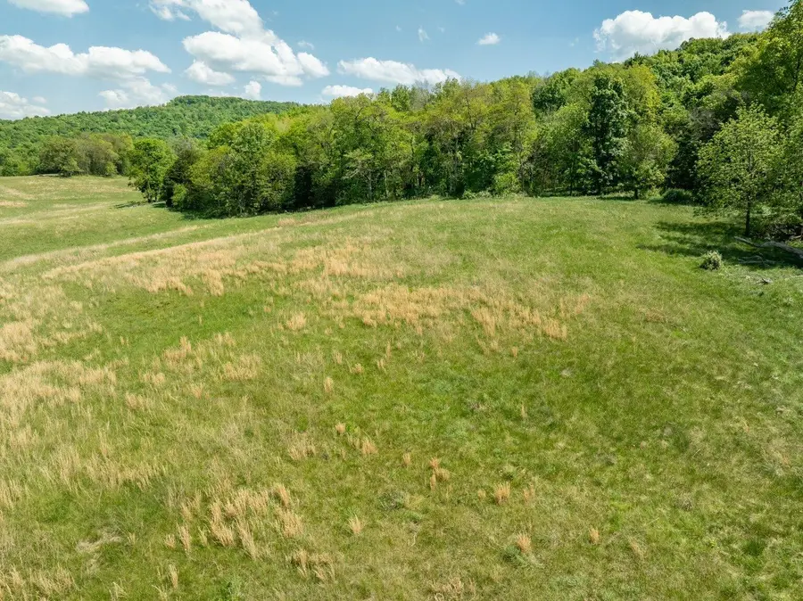 02 Simpson Hollow Road #01, Monticello, KY 42633 - #3