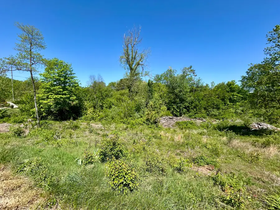 86 Rose Point, Somerset, KY 42503 - #3