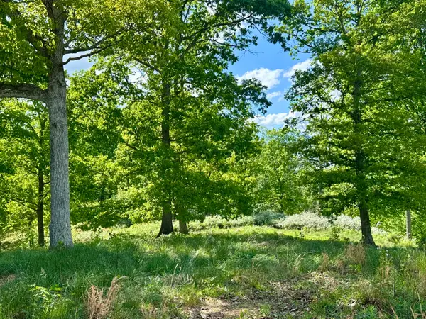 119 Hawk #Tract 23, London, KY 40741