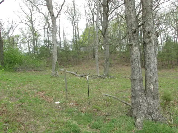 123 (TBD) Tract 3 Long Branch Road, Jeffersonville, KY 40337