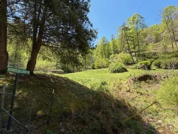 1310 Little Blacklog Road, Inez, KY 41224