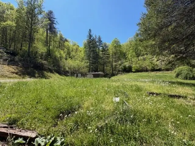 1310 Little Blacklog Road, Inez, KY 41224 - #2