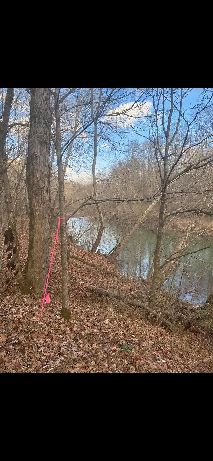 3110-3506 S Upper River  S Upper River Road, Livingston, KY 40445 - #2